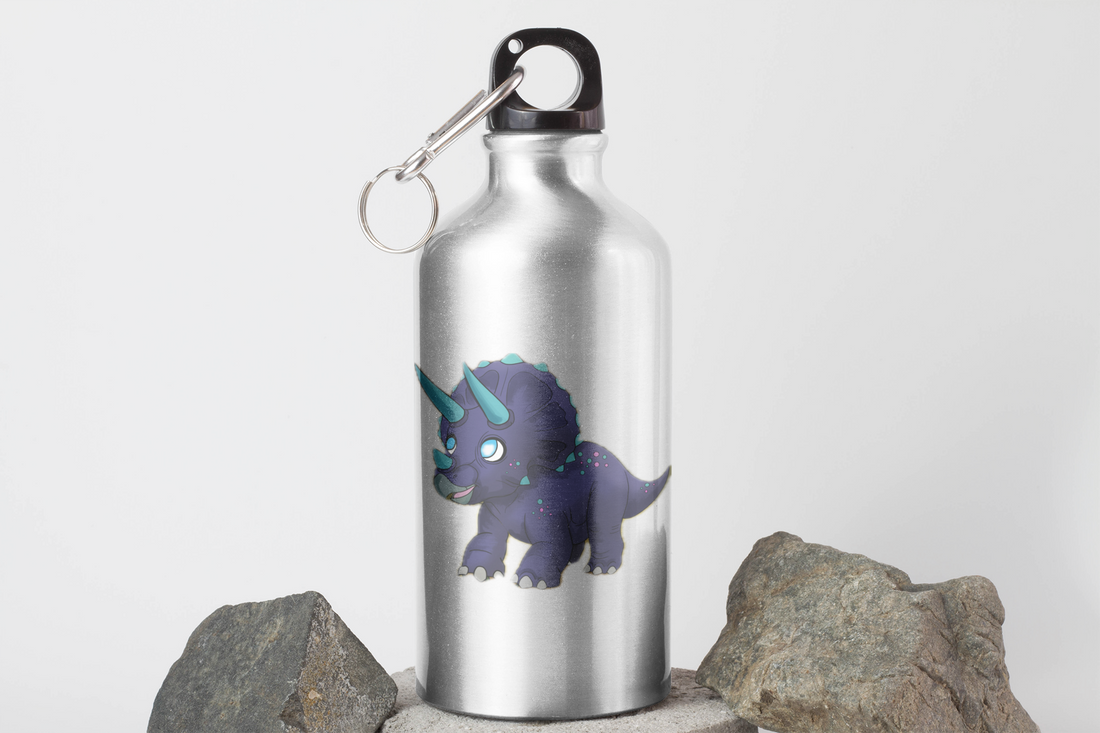 Adventures of Ayan Water Bottle